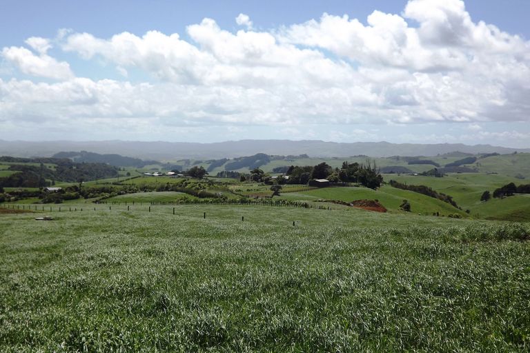 Photo of property in 712a Te Hutewai Road, Raglan, 3296