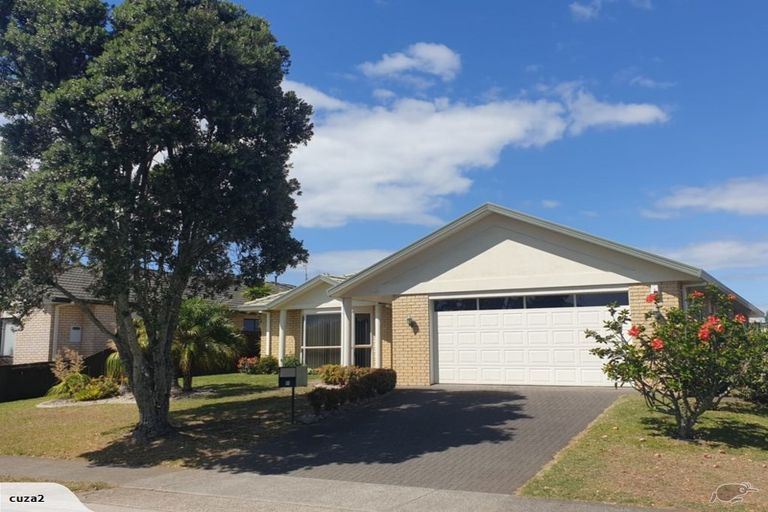Photo of property in 51 Denny Hulme Drive, Mount Maunganui, 3116