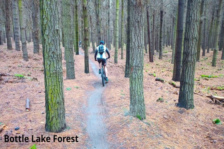 Photo of property in 10 Ludlow Place, Parklands, Christchurch, 8083