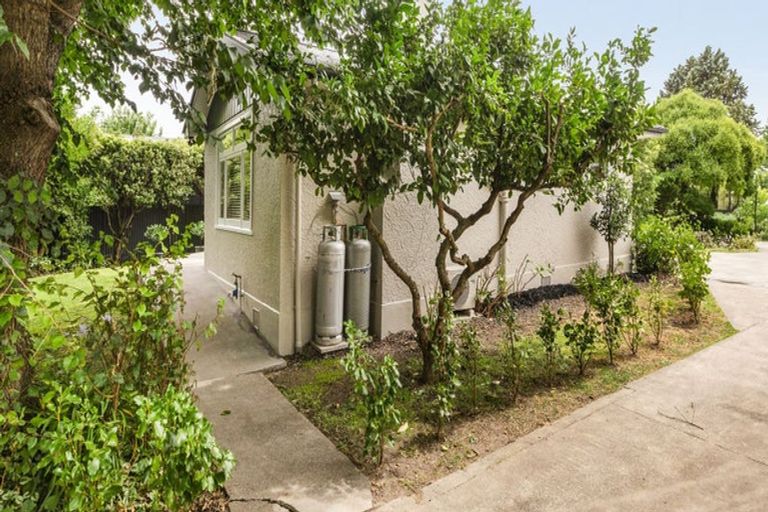 Photo of property in 804 Churchill Street, Akina, Hastings, 4122