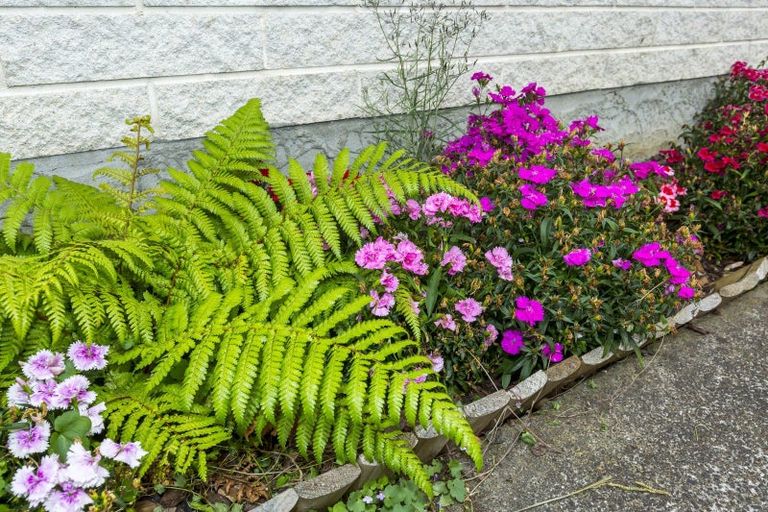 Photo of property in 3/12 Wilford Street, Wallaceville, Upper Hutt, 5018