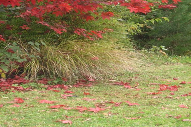 Photo of property in 29 East Grampian Street, Tokoroa, 3420