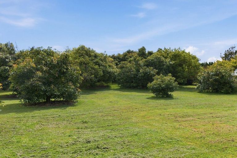 Photo of property in 151a Hereford Road, Oropi, Tauranga, 3173