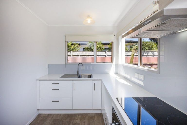 Photo of property in 146e Victoria Avenue, Hokowhitu, Palmerston North, 4410