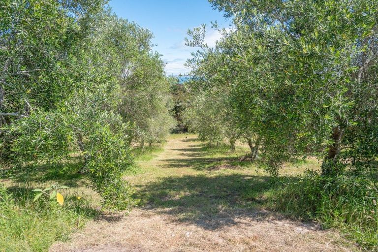 Photo of property in 121b Olive View Heights Drive, Taipa, 0420