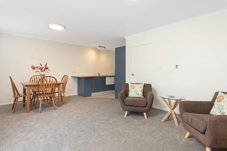 Photo of property in 8d Heath Street, Mount Maunganui, 3116