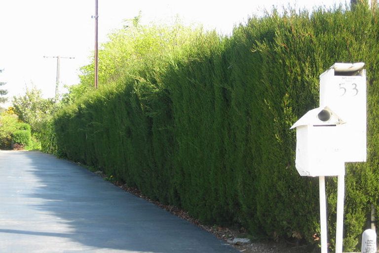 Photo of property in 53 Dillon Street, Blenheim, 7201