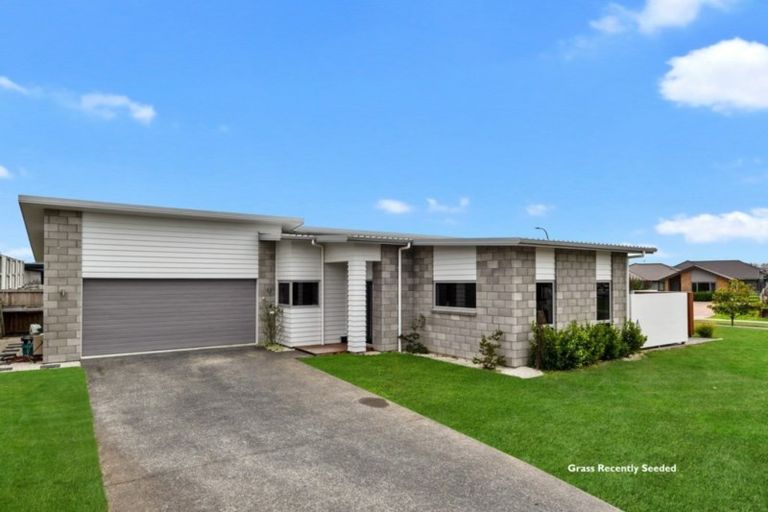 Photo of property in 2 Rigg Place, Flagstaff, Hamilton, 3210