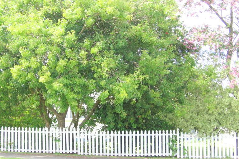 Photo of property in 7 Elm Street, Mangapapa, Gisborne, 4010