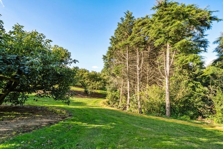 Photo of property in 237b Busby Road, Tahawai, Katikati, 3170