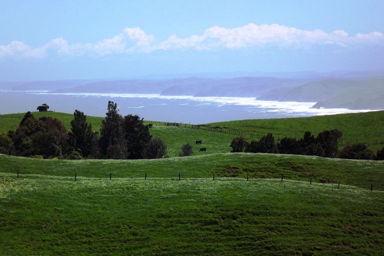 Photo of property in 712a Te Hutewai Road, Raglan, 3296