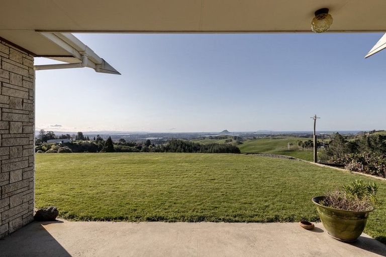 Photo of property in 565c Upper Ohauiti Road, Ohauiti, Tauranga, 3173