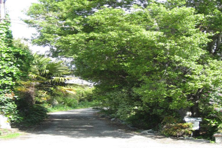 Photo of property in 15 Erin Street, Nelson, 7010