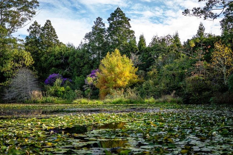 Photo of property in 75a Riddell Road, Kerikeri, 0230