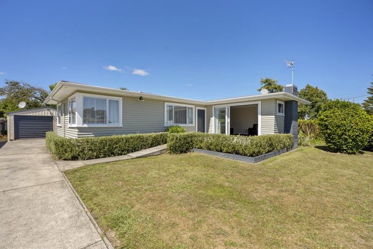 Photo of property in 40 Parker Avenue, Levin, 5510