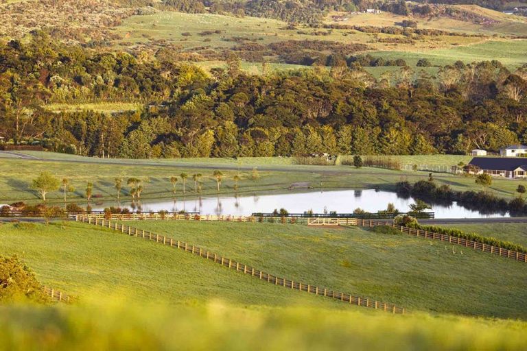 Photo of property in 10 Wallbank Way, Mangawhai, Wellsford, 0975