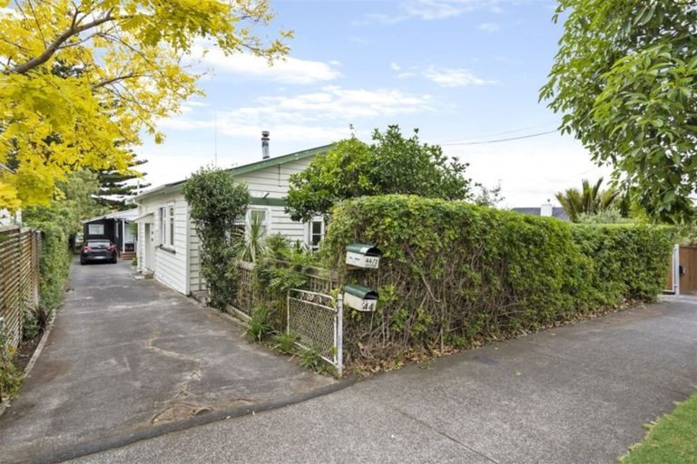Photo of property in 44 Alberta Street, Point Chevalier, Auckland, 1022