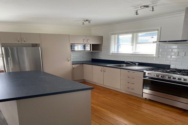 Photo of property in 116 Mcleod Street, Elderslea, Upper Hutt, 5018