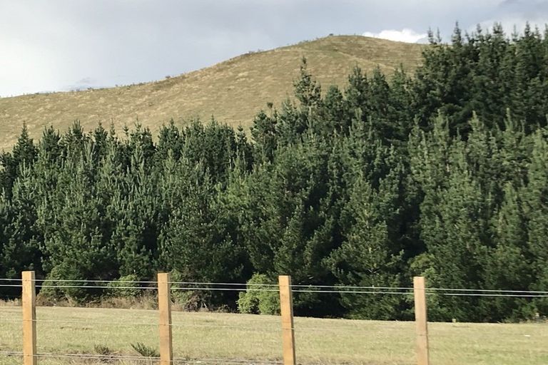 Photo of property in 487 Whangamata Road, Kinloch, Taupo, 3377