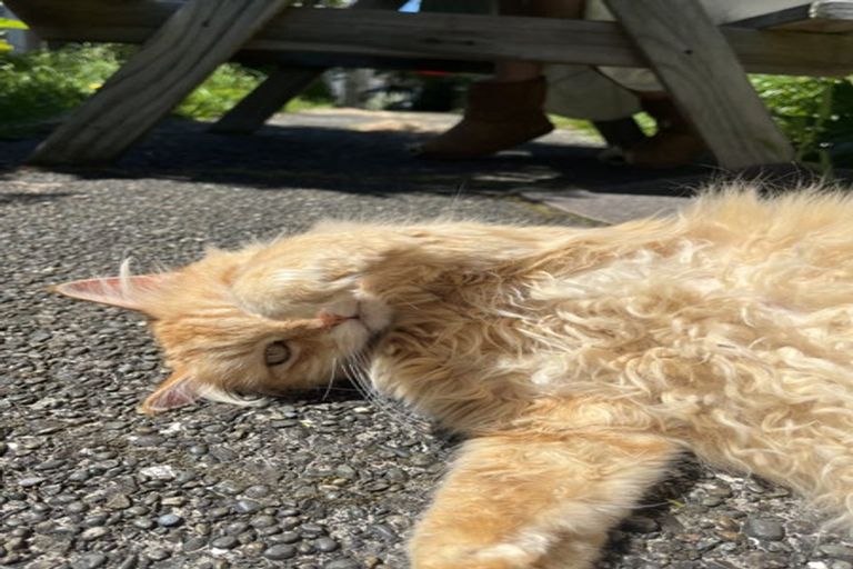 Photo of property in 182 Hanson Street, Newtown, Wellington, 6021