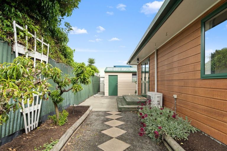 Photo of property in 99 Alfred Street, Blenheim, 7201