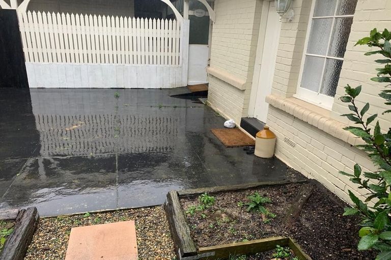 Photo of property in 24a Melrose Street, Roslyn, Dunedin, 9010