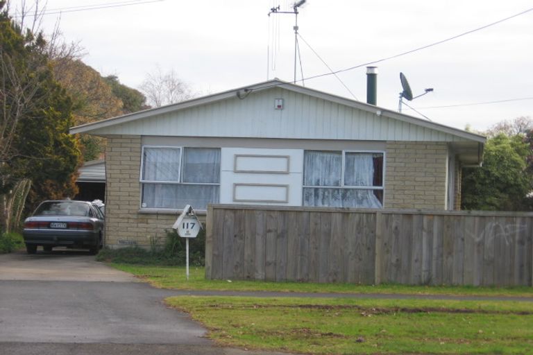 Photo of property in 117 Hukanui Road, Chartwell, Hamilton, 3210