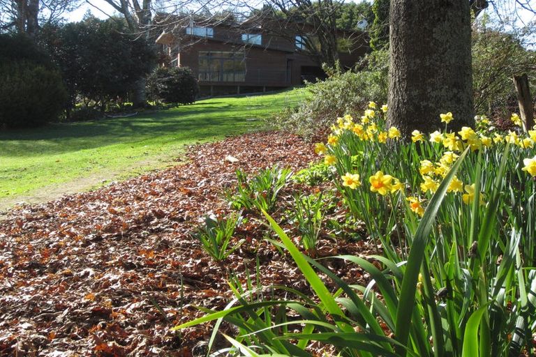 Photo of property in 38 Grammar Street, Kimbolton, 4777