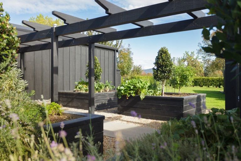 Photo of property in 18 Orchard Place, Matamata, 3472