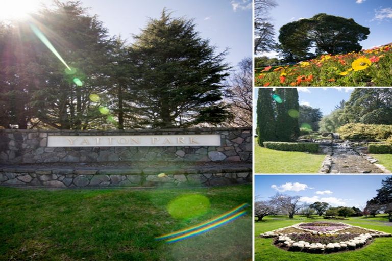 Photo of property in 453 Fraser Street, Parkvale, Tauranga, 3112