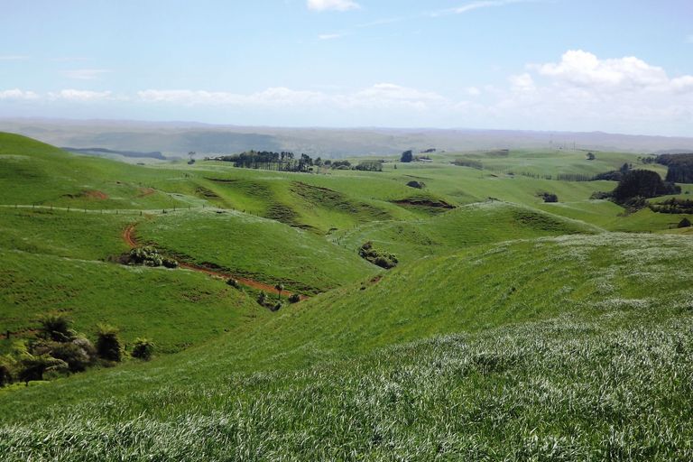 Photo of property in 712a Te Hutewai Road, Raglan, 3296