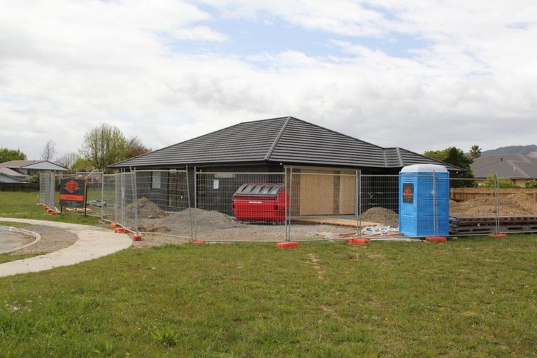 Photo of property in 10 Sanson Place, Levin, 5510
