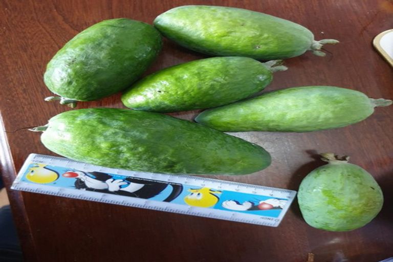 Photo of property in 21 Farmer Road, Waitoa, 3310