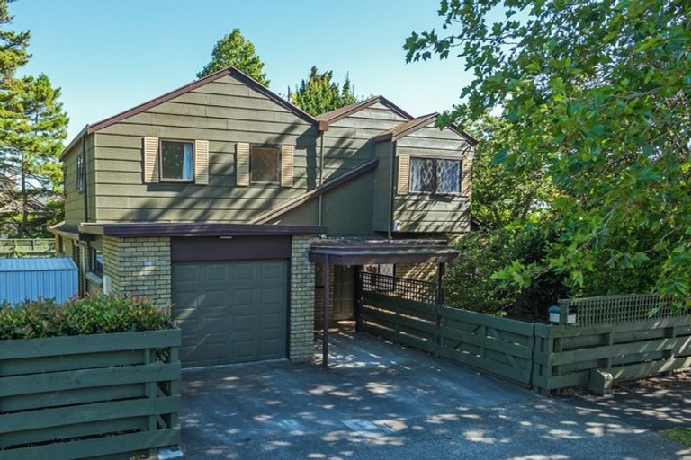 Photo of property in 567a Featherston Street, Roslyn, Palmerston North, 4414