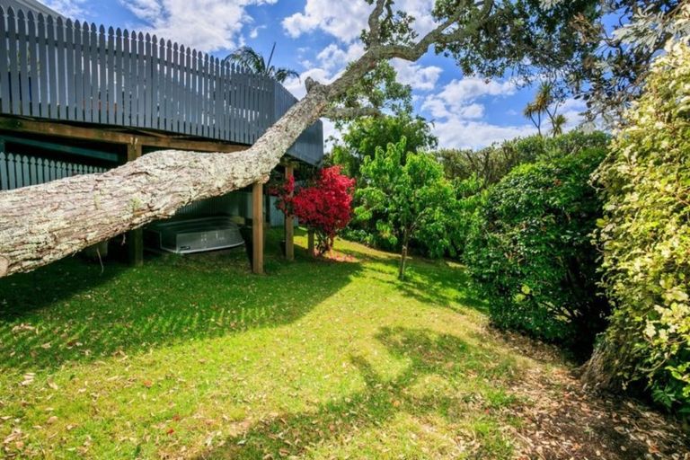 Photo of property in 24 Long Bay Drive, Torbay, Auckland, 0630