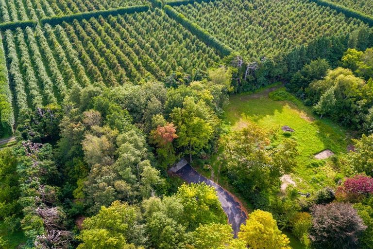 Photo of property in 16 Woodlands Way, Greytown, 5712