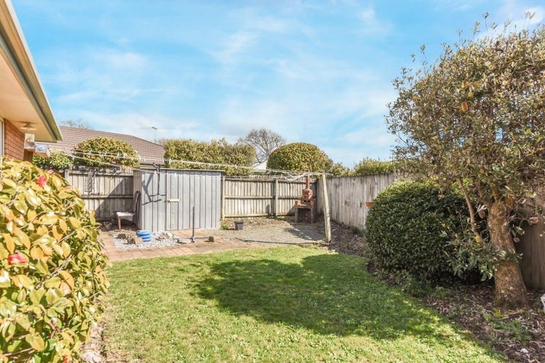 Photo of property in 55 Arbor-lea Avenue, Richmond, 7020