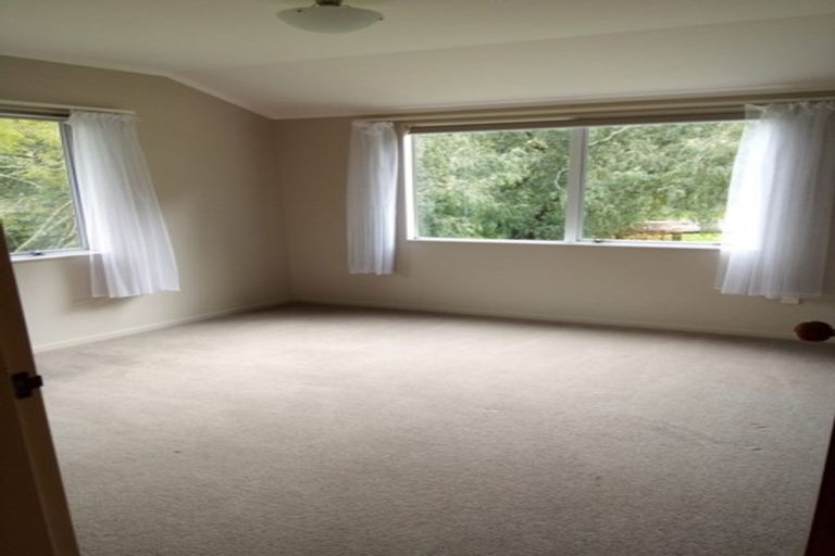 Photo of property in 16 Youngson Road, Whakamarama, Tauranga, 3180