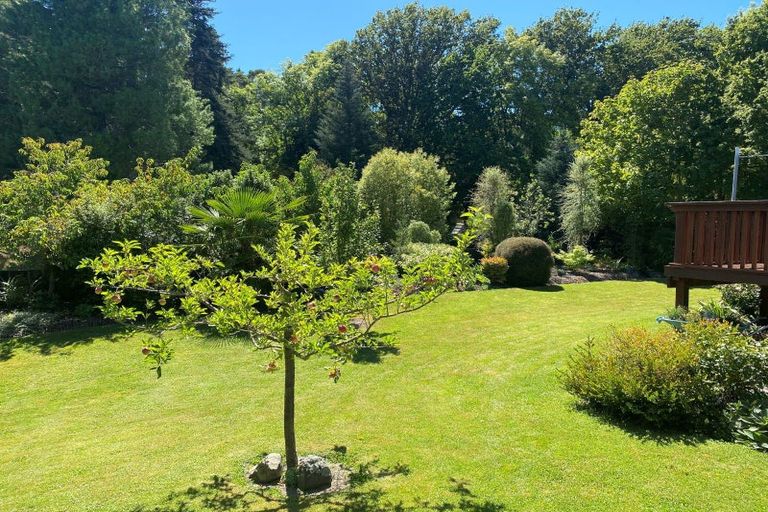 Photo of property in 16 Robinson Street, Cheviot, 7310