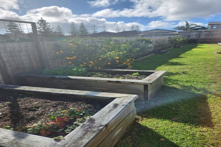 Photo of property in 9a Norfolk Drive, Mangawhai Heads, Mangawhai, 0505