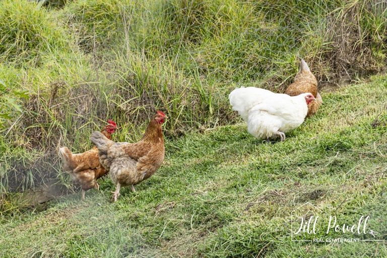 Photo of property in 611 Bickerstaffe Road, Maungaturoto, 0587