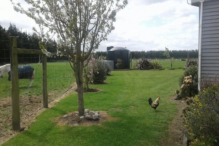 Photo of property in 519 Depot Road, Burnt Hill, Oxford, 7495