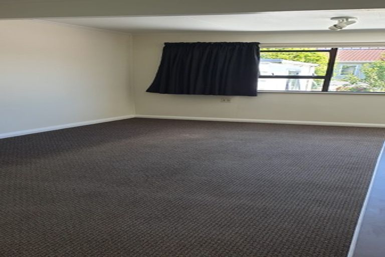 Photo of property in 116 Daniell Street, Newtown, Wellington, 6021