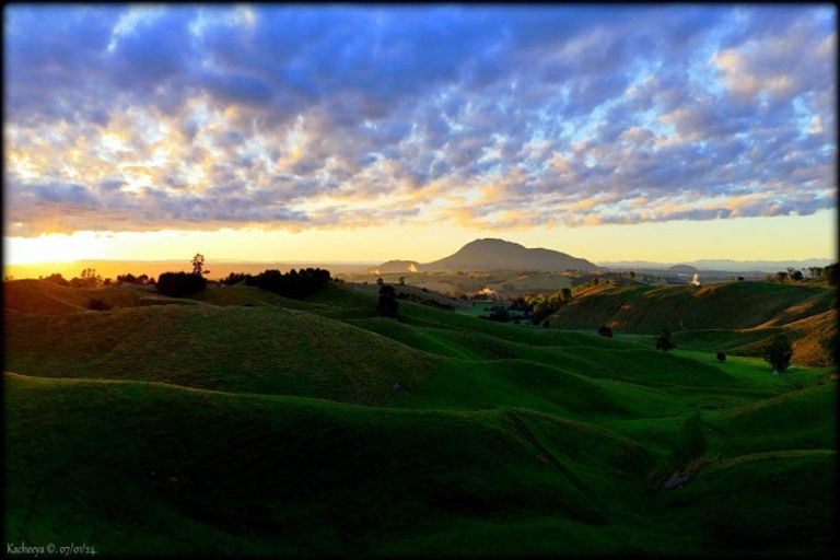 Photo of property in 333 Palmer Mill Road, Wairakei, Taupo, 3384