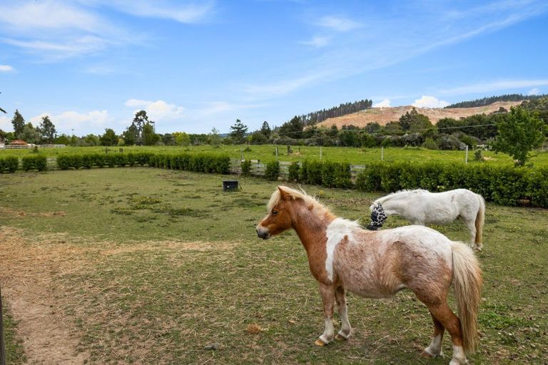 Photo of property in 116 Sunnyside Road, Coatesville, Albany, 0793