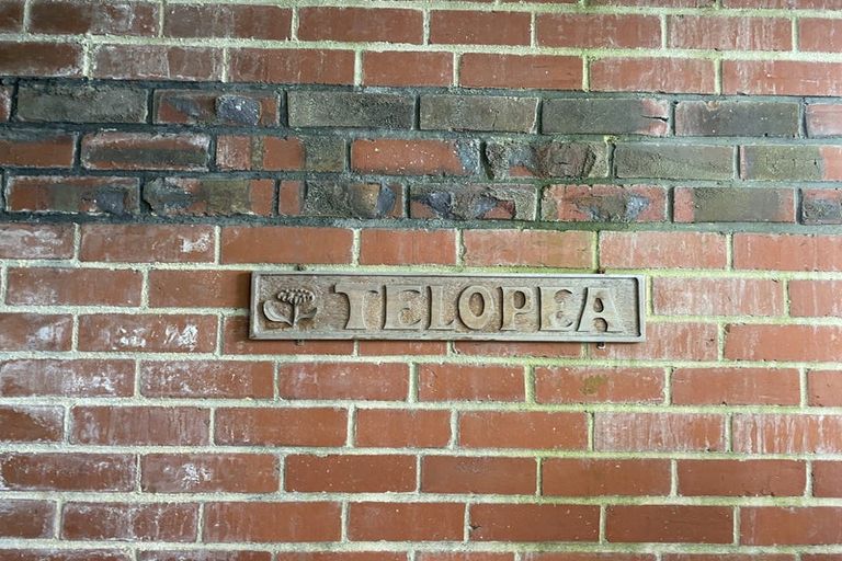 Photo of property in 19 Falkland Street, Maori Hill, Dunedin, 9010