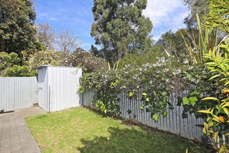 Photo of property in 58a Downing Avenue, Pirimai, Napier, 4112