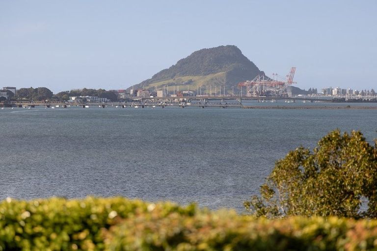 Photo of property in 9a Mersea Place, Maungatapu, Tauranga, 3112