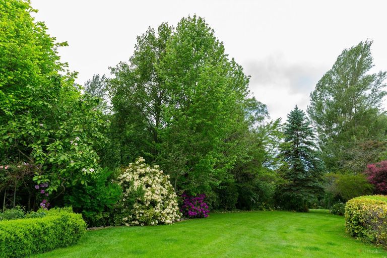 Photo of property in 260 Downs Road, Geraldine Downs, Geraldine, 7991