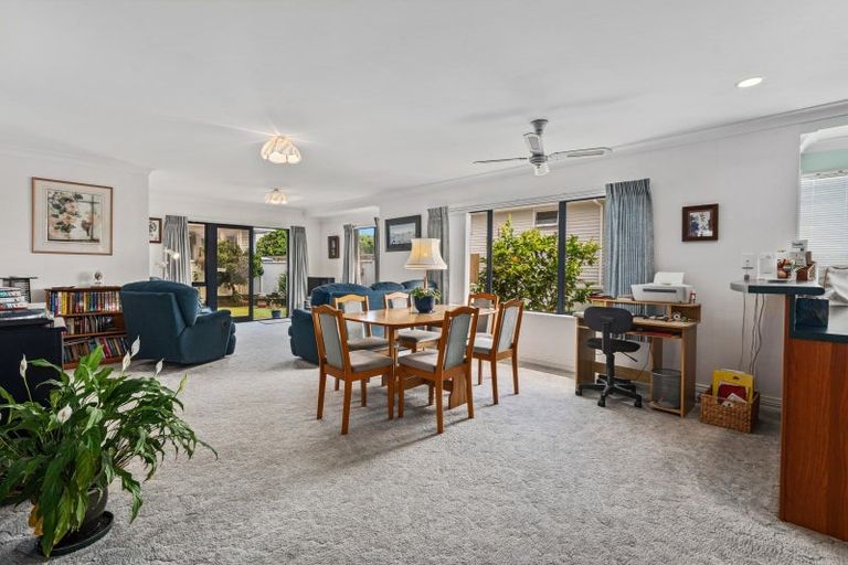 Photo of property in 19a Hayes Avenue, Gate Pa, Tauranga, 3112